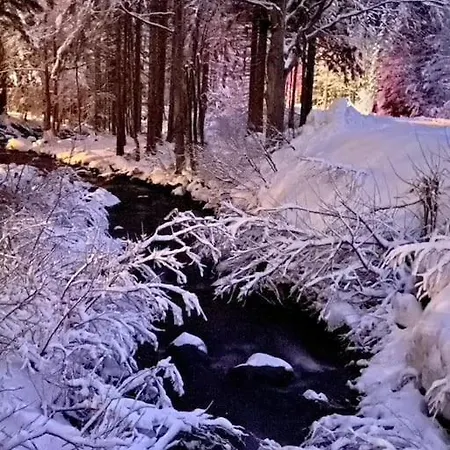 Apartamento La Casetta Sulla Neve *